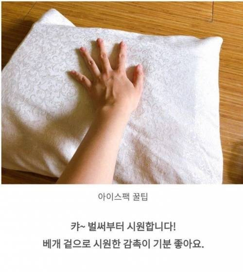 여름철 에어컨 없이 시원해지는 꿀팁