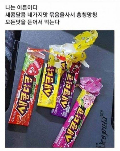 어른이 되었다는것을 실감할때