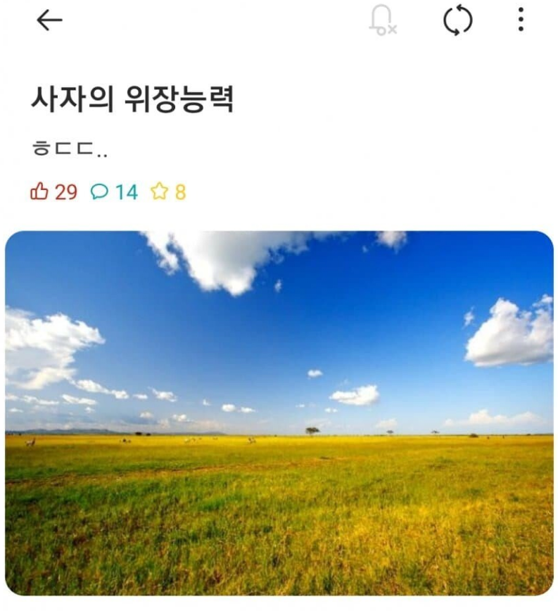 사자의 ㅎㄷㄷ한 위장 능력