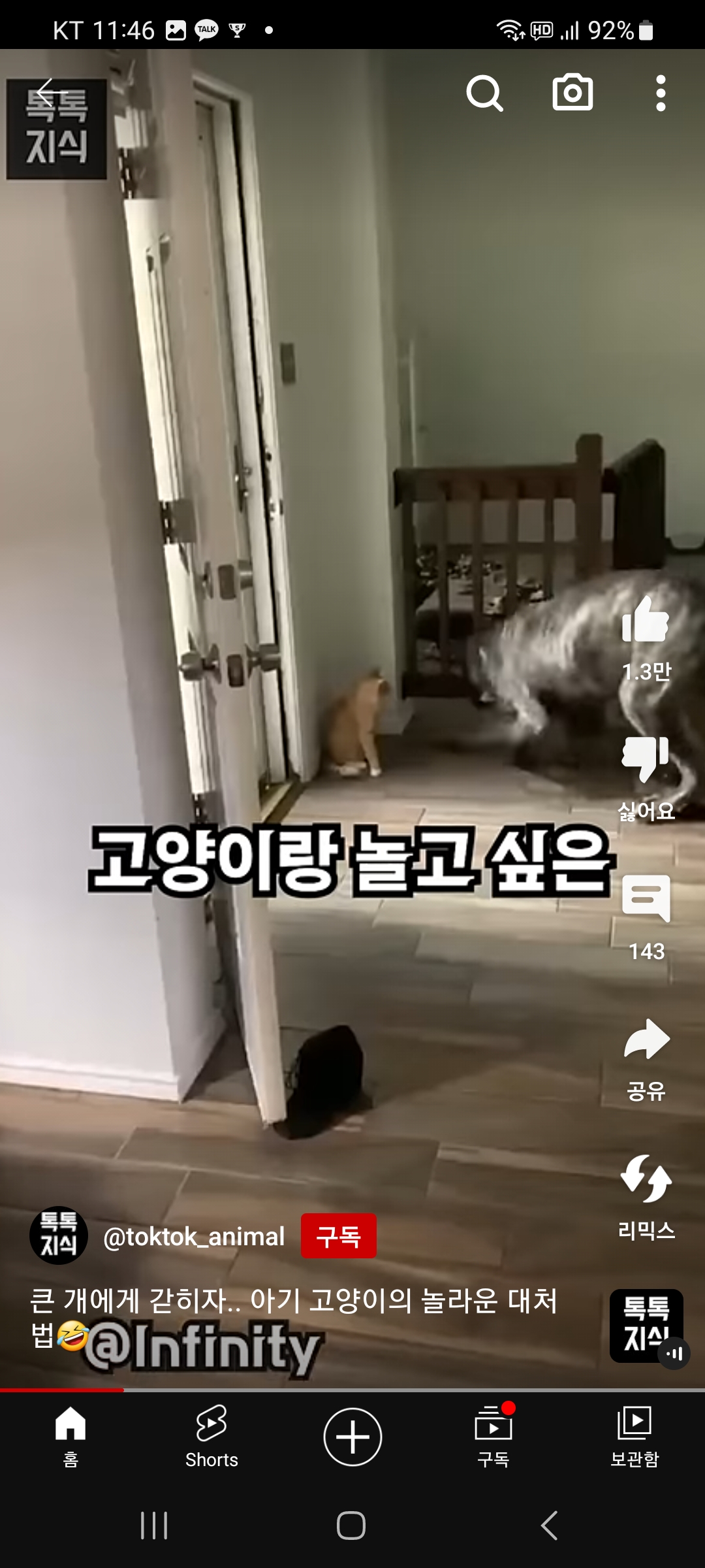 냥냥이 똑똑하누 ㅋ