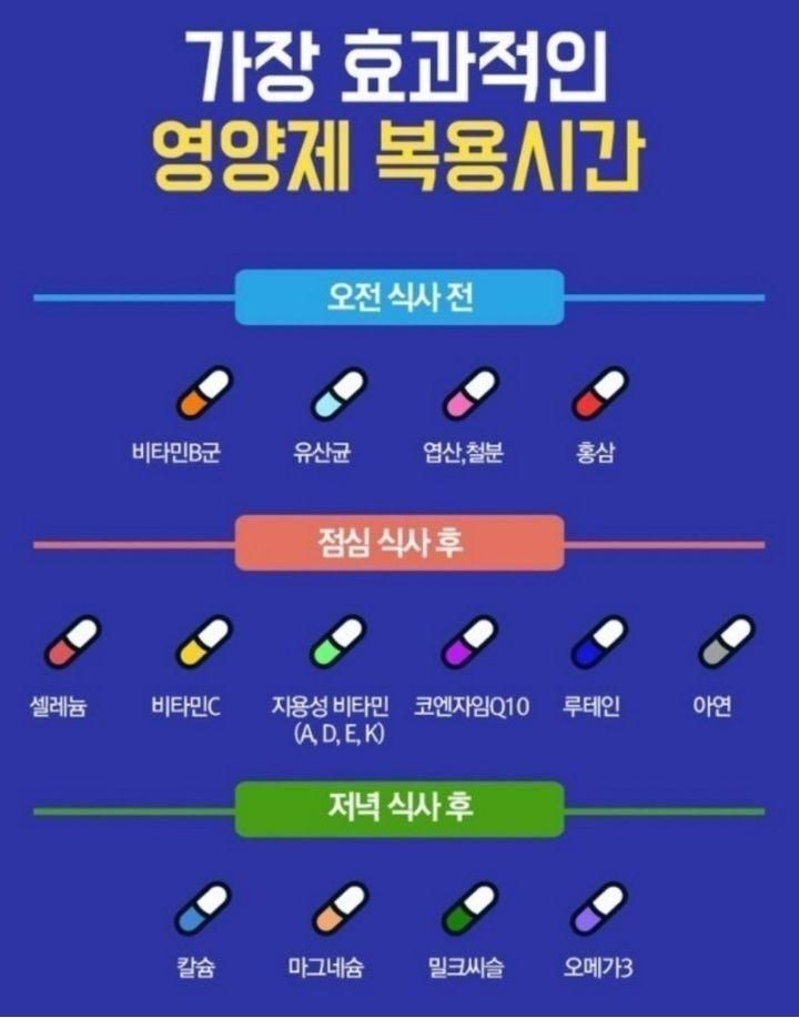 효과적인 영양제 복용시간