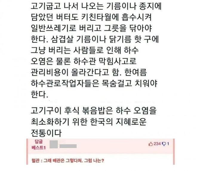 볶음밥을 먹는 친환경의 민족