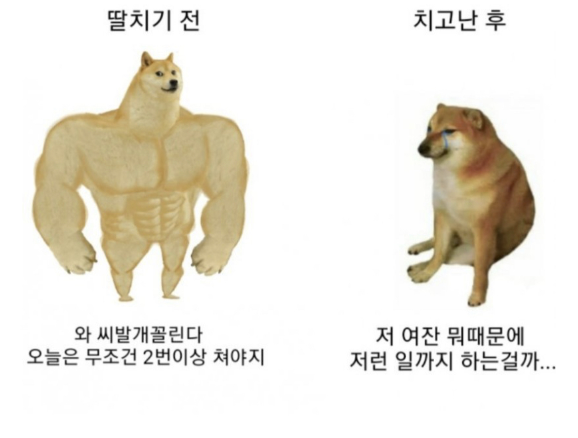 남자 딸치기 전 & 후 반응