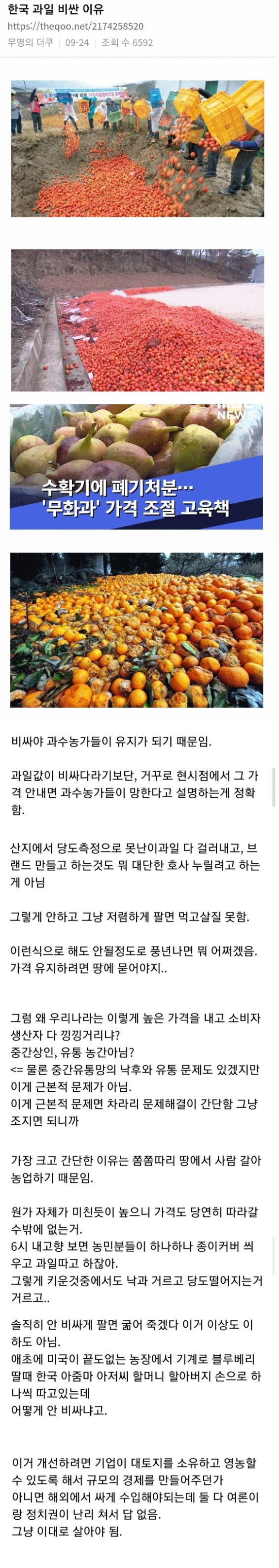 한국 과일이 비싼 이유