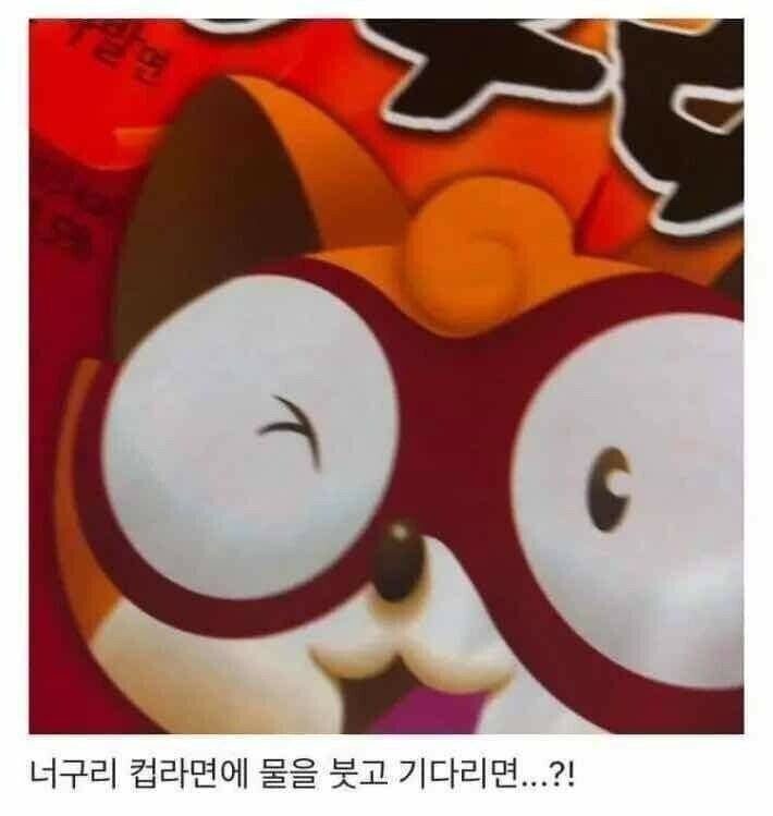 너구리 컵라면의 비밀 ㄷ..