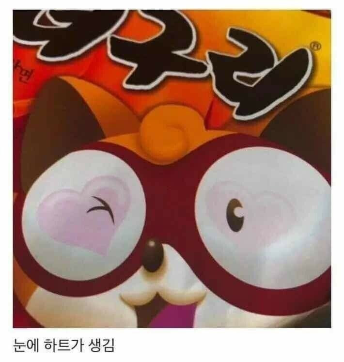 너구리 컵라면의 비밀 ㄷ..