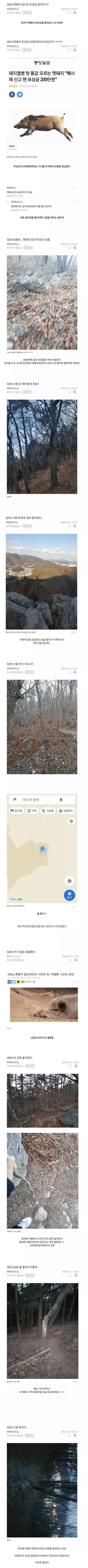 멧돼지 잡으러 실제 산으로간 어느 디씨인