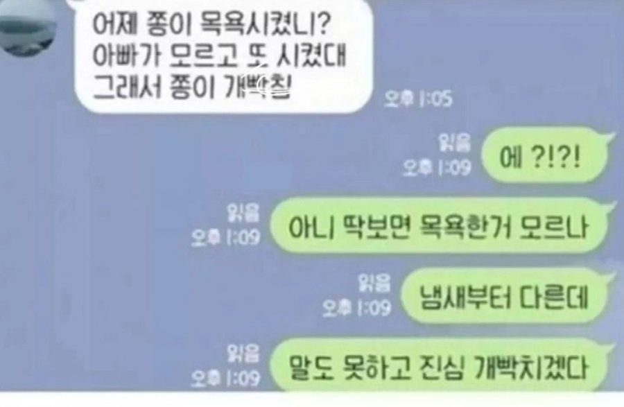 목욕 2번한 강아지 ㄱㅇㅇ