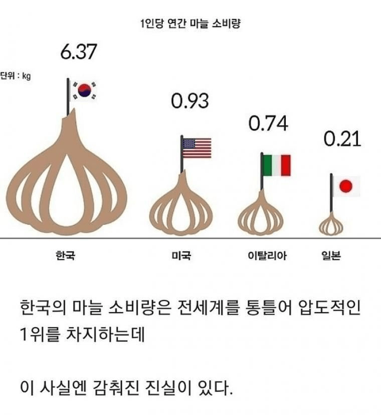 마늘 소비량 1위의 진실 ㄷㄷ