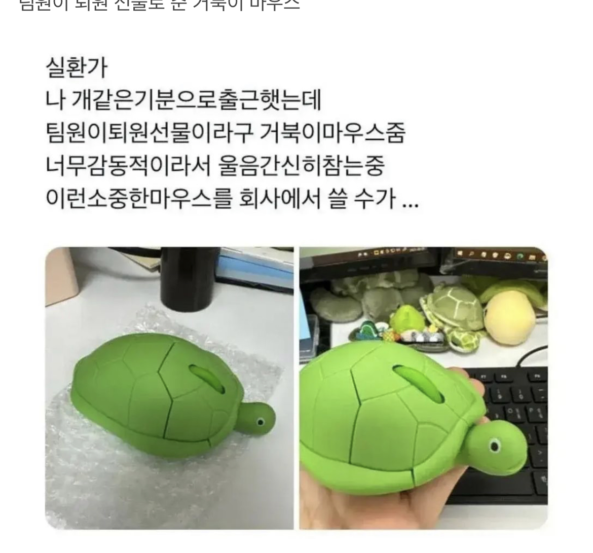 퇴원 선물