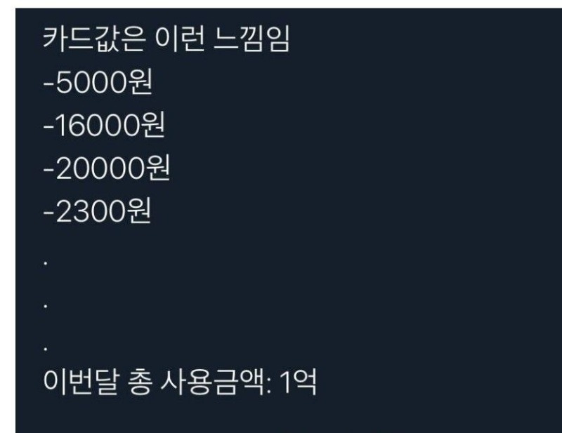 우리가 느끼는 카드값 체감