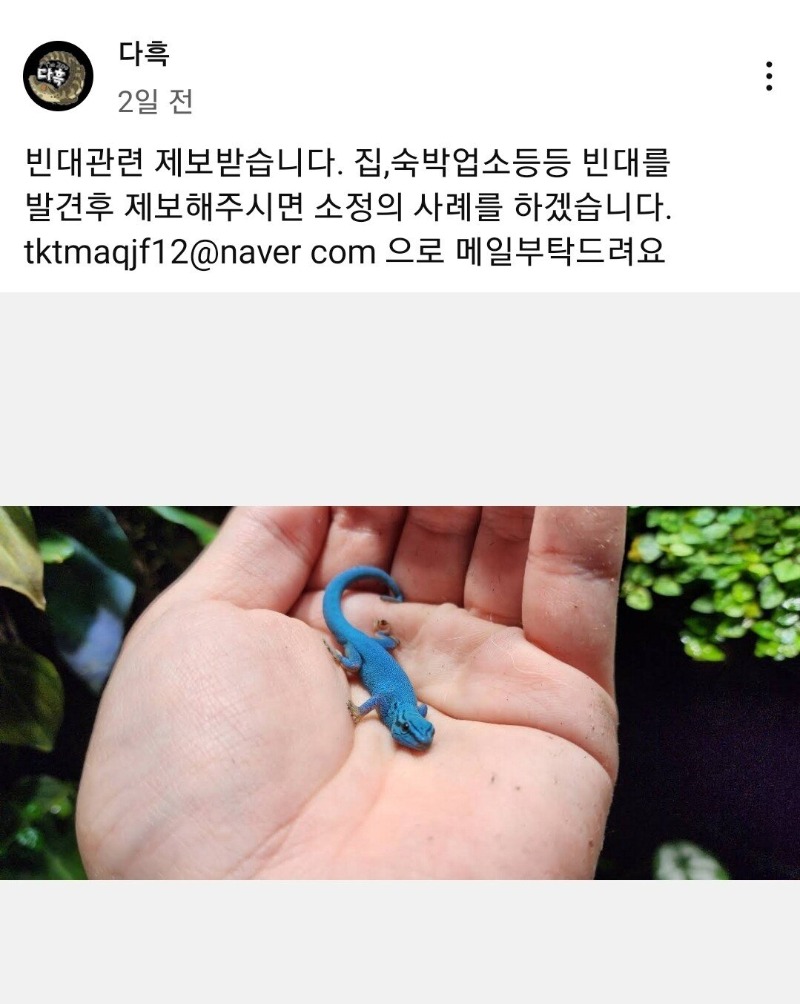 빈대가 핫하니까 제보를 받는다는 곤충, 파충류 유튜버