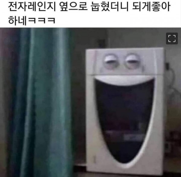 신난 전자레인지