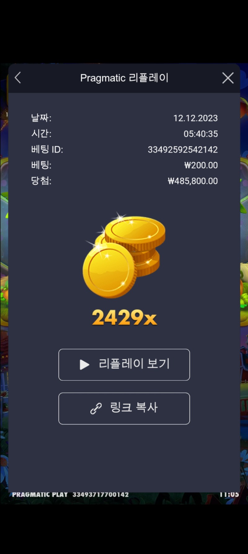 반페 2429배