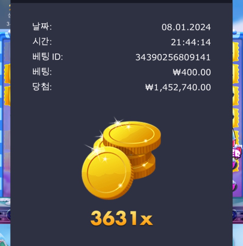 슈가x 3631배