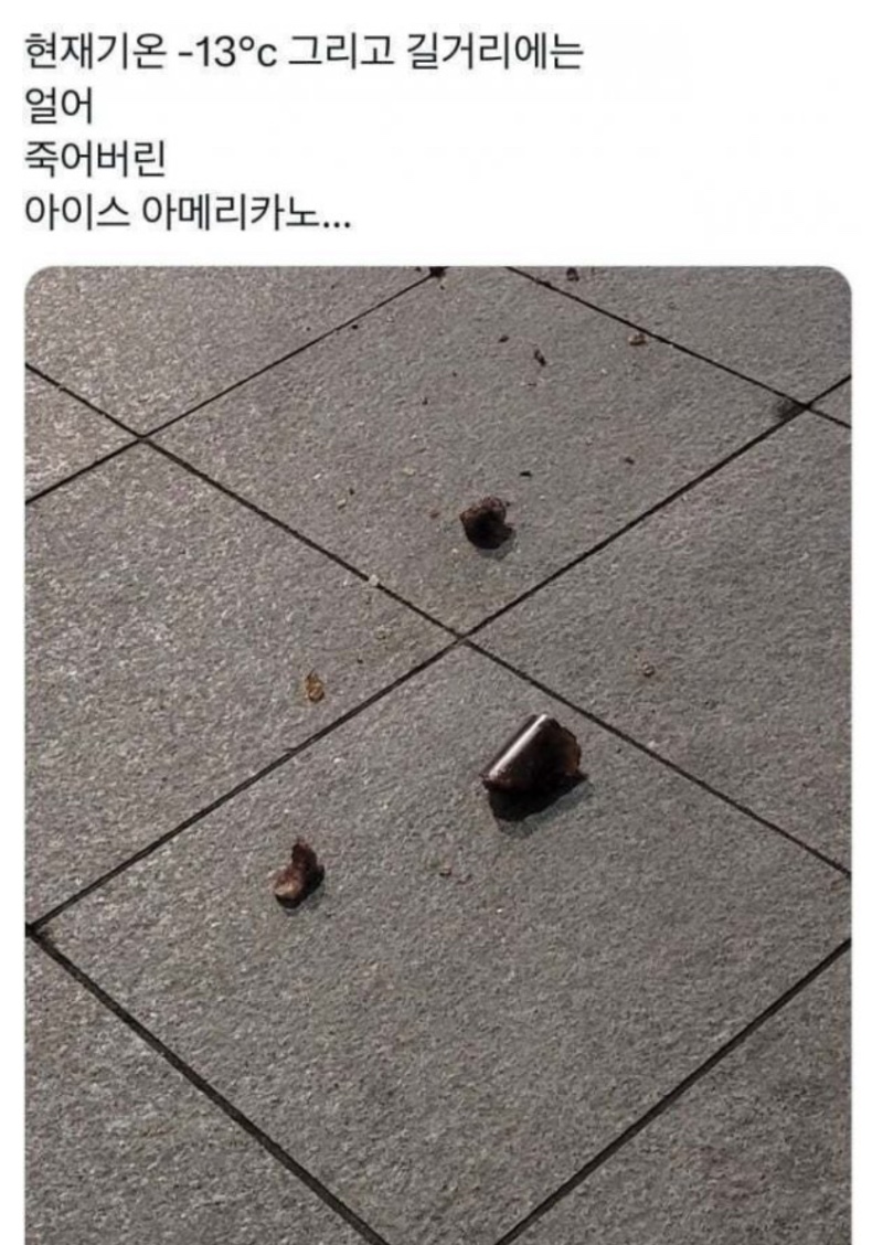 얼죽아의 최후