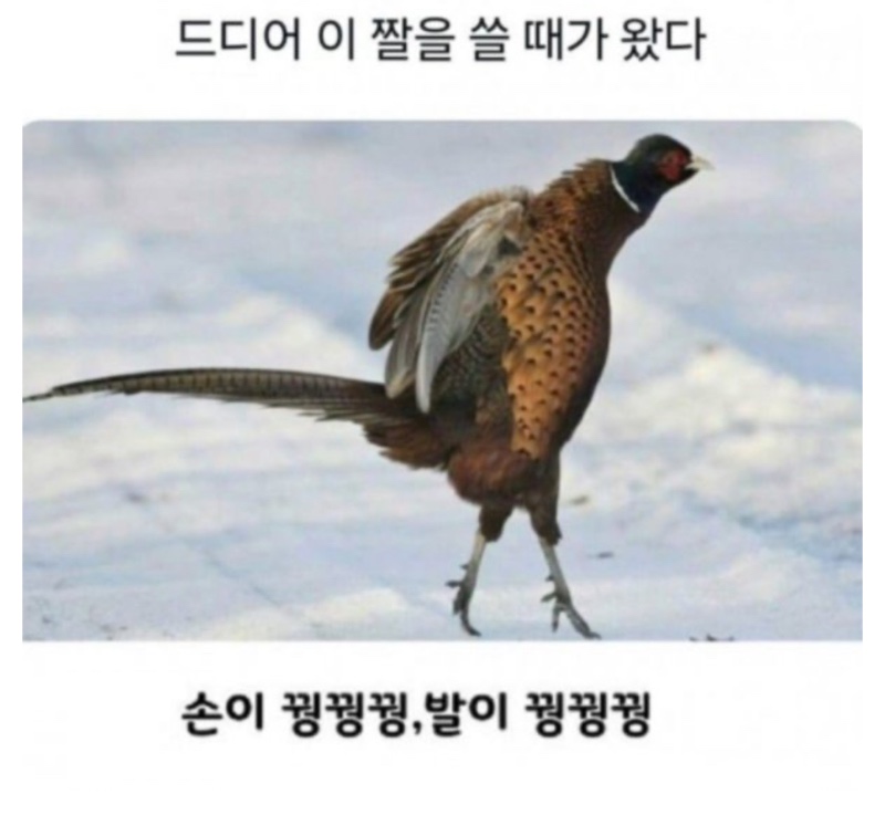 이날만 기다렸다