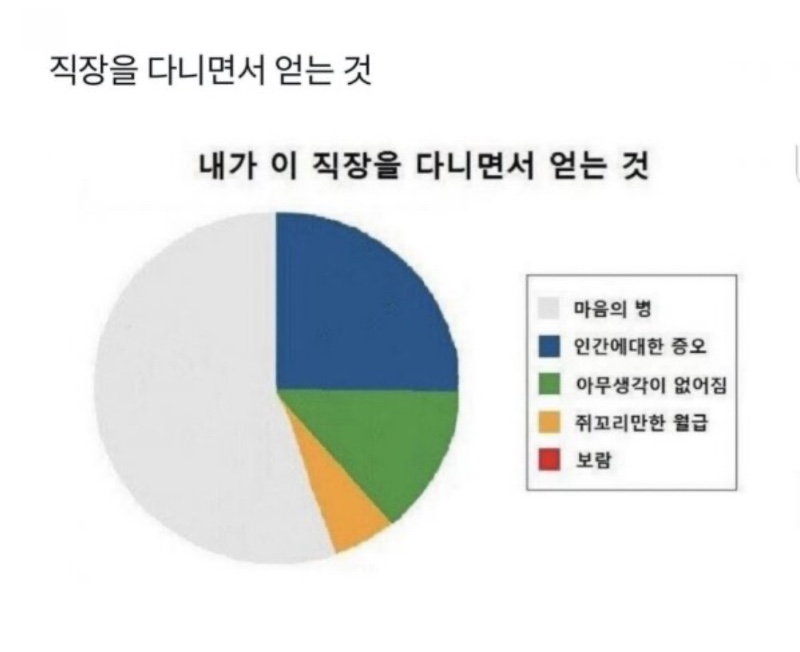 직장을 다니면서 얻는것