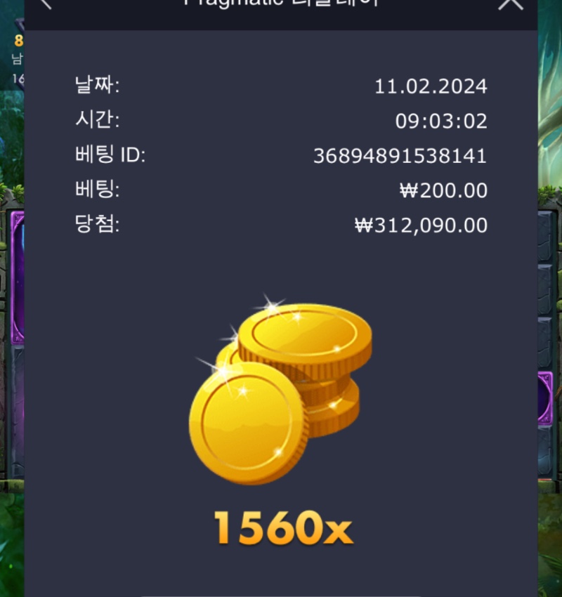 멀린 1560배