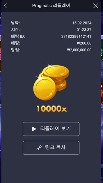 로켓10000배