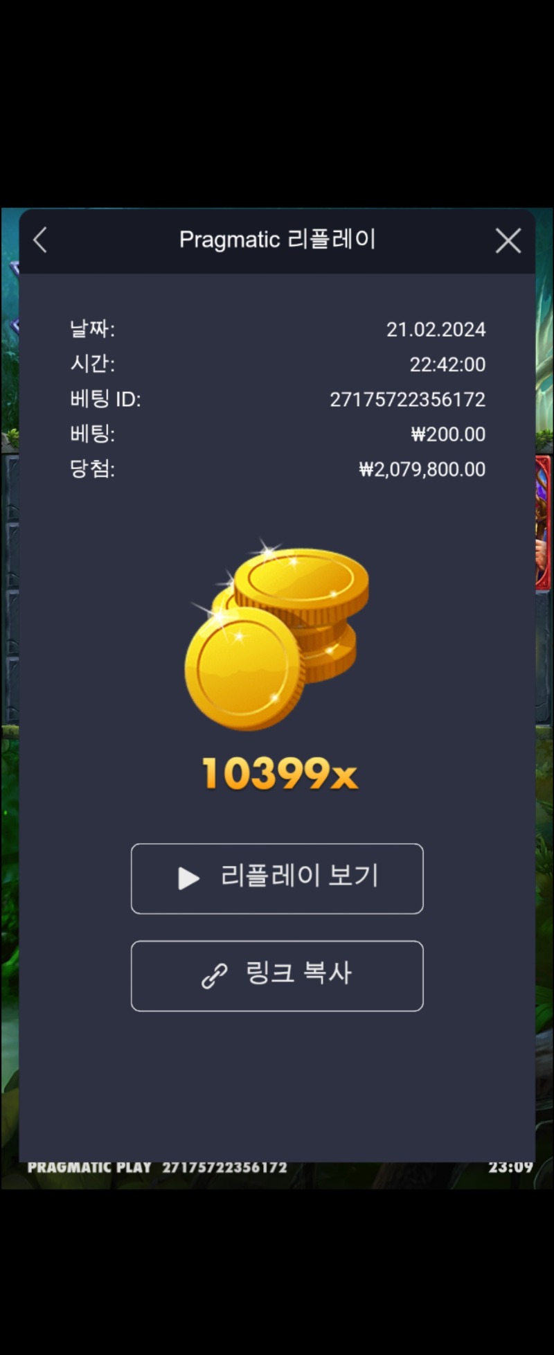 멀린 10399배