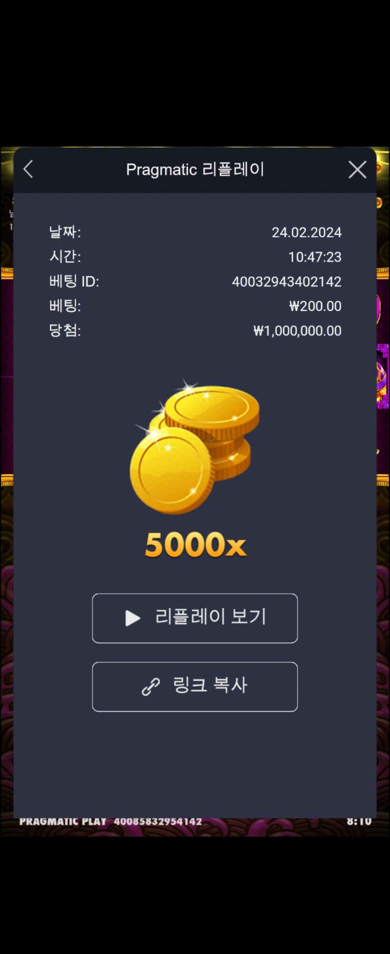 토라메 5000배