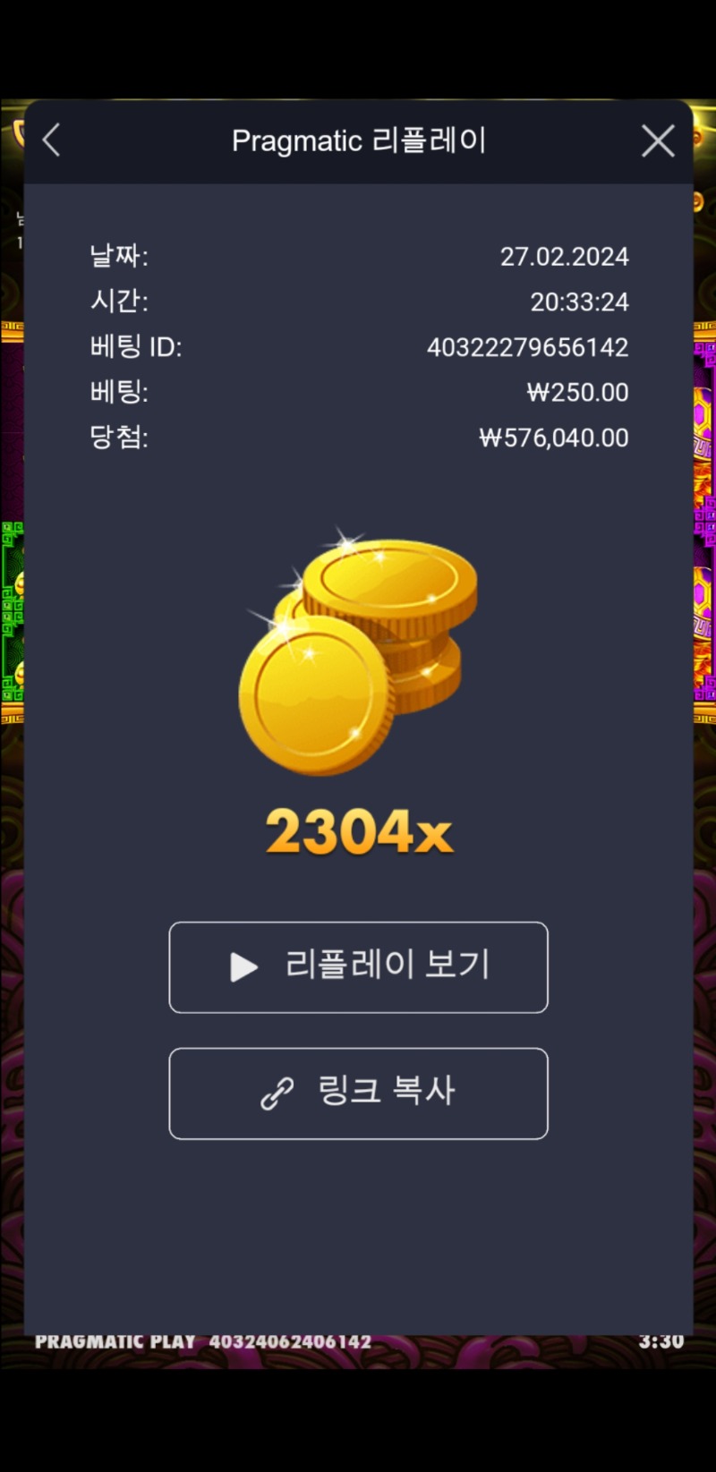 토라메 2304배