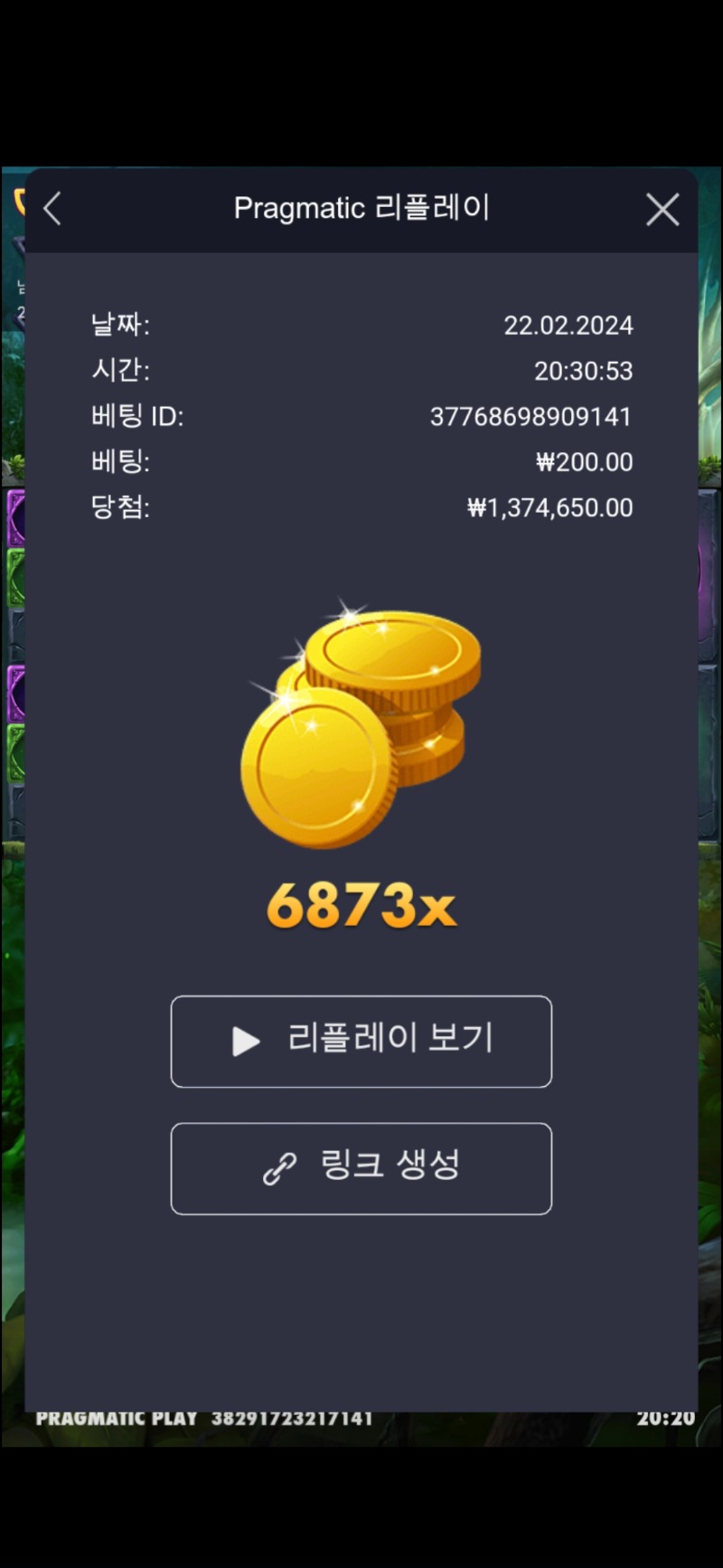 멀린6873배