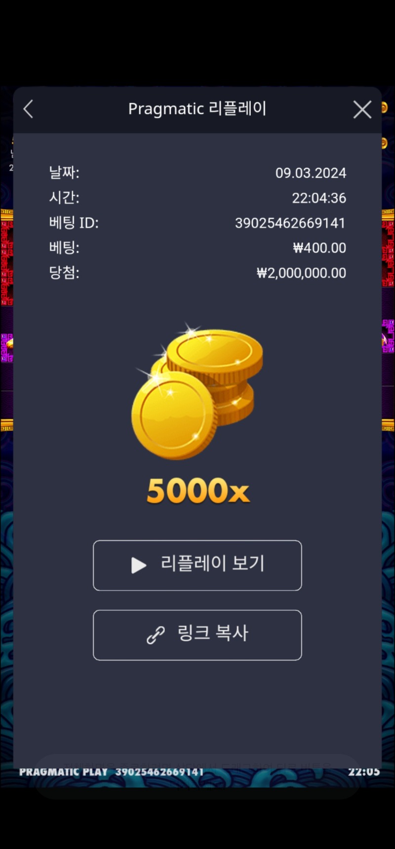 오라메5000배 맥스