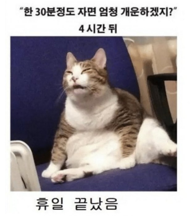 휴일에 낮잠이 위험한 이유