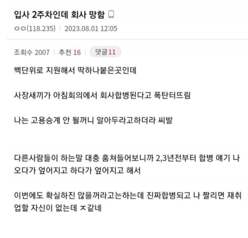 입사 2주차인데 회사 망함