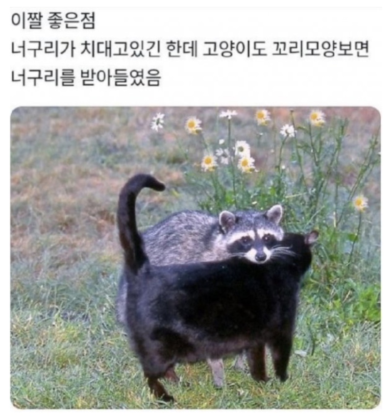 이짤의 치명적인 좋은 점