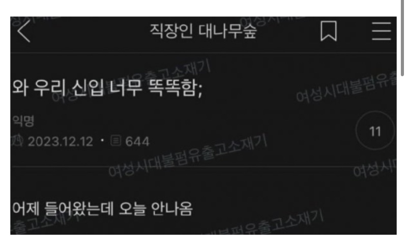 우리신입 너무 똑똑함