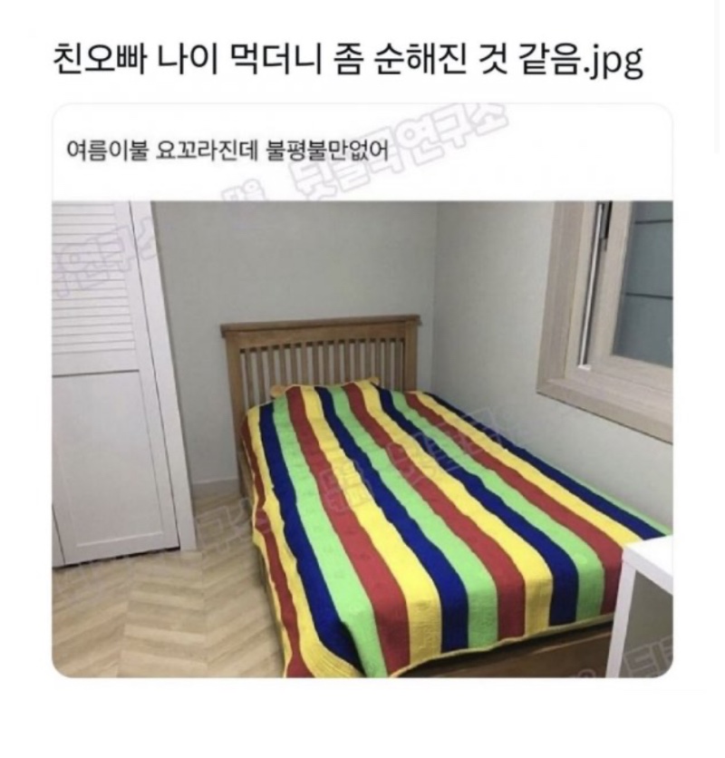 친오빠 나이 먹더니 좀 순해진 것 같음