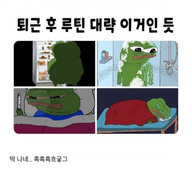 직장인 퇴근 후 루틴