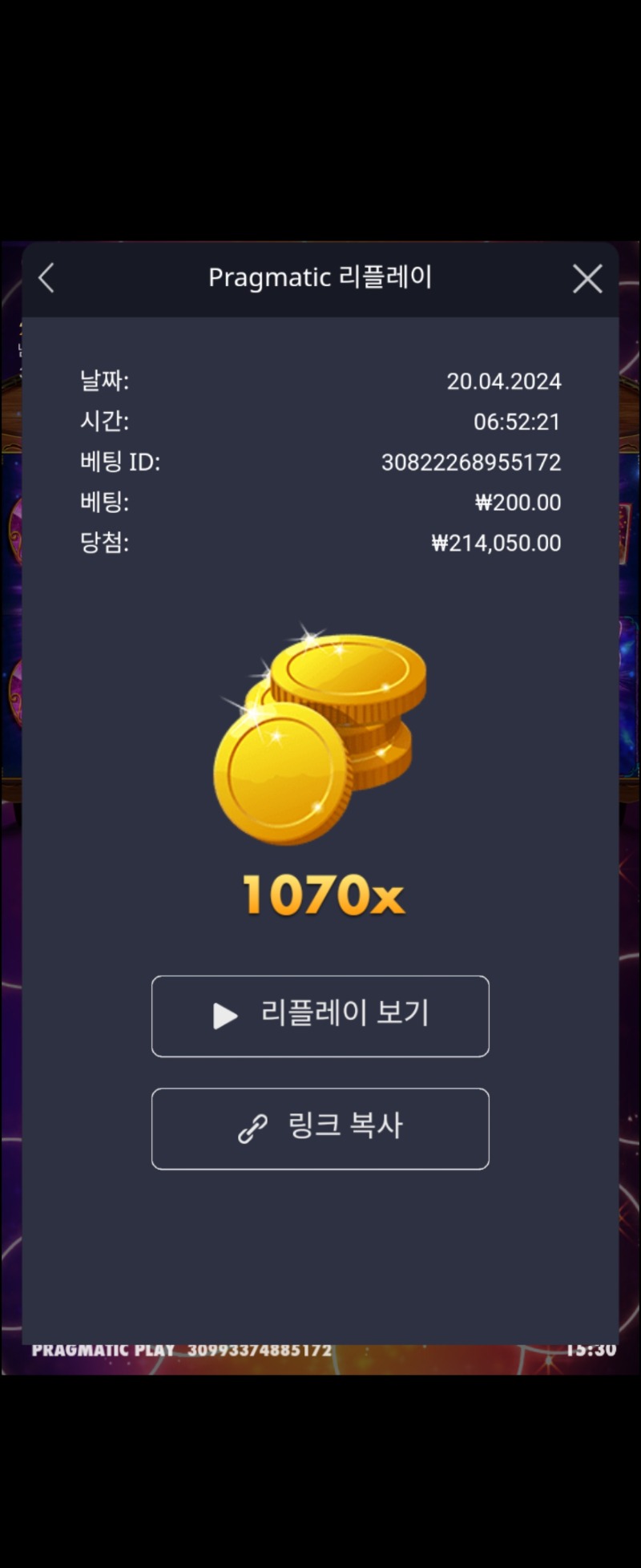 마담 1070배