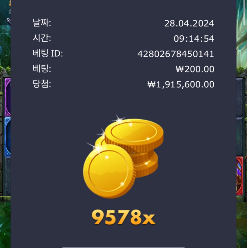 멀린 9578배