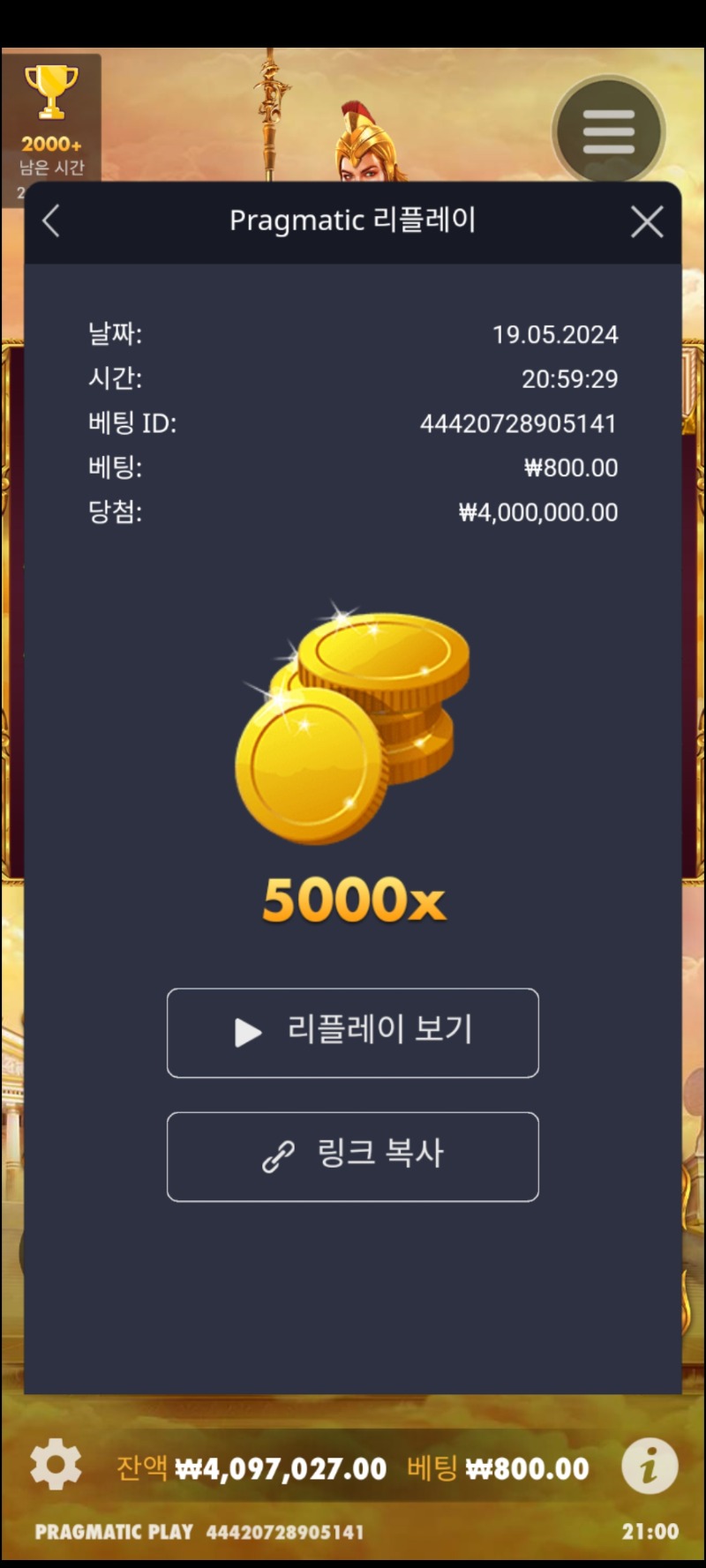 아테나 맥스ㆍ5000배