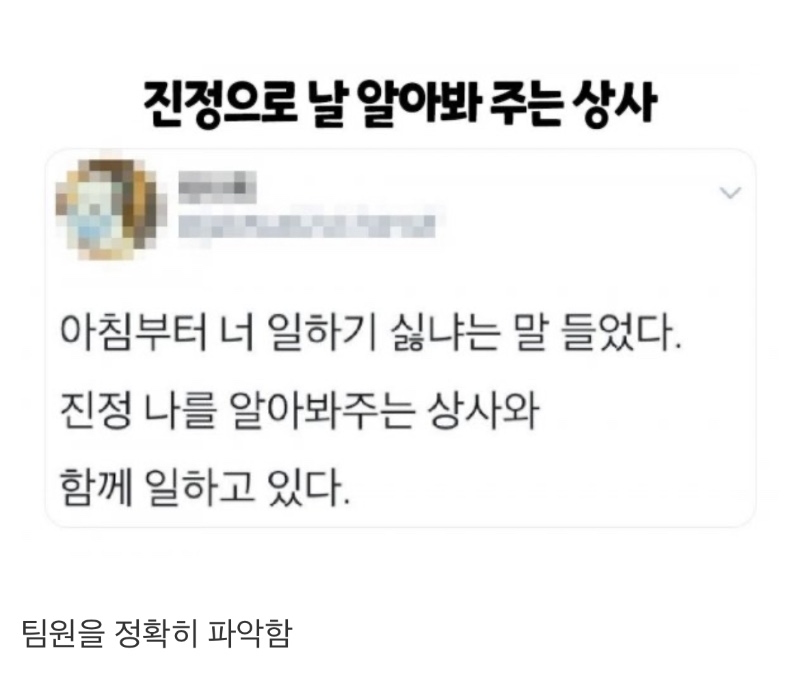 완벽한 팀장