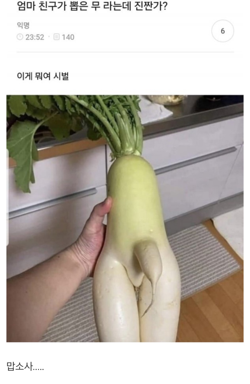 무가 어떻게 이렇게 생겼지