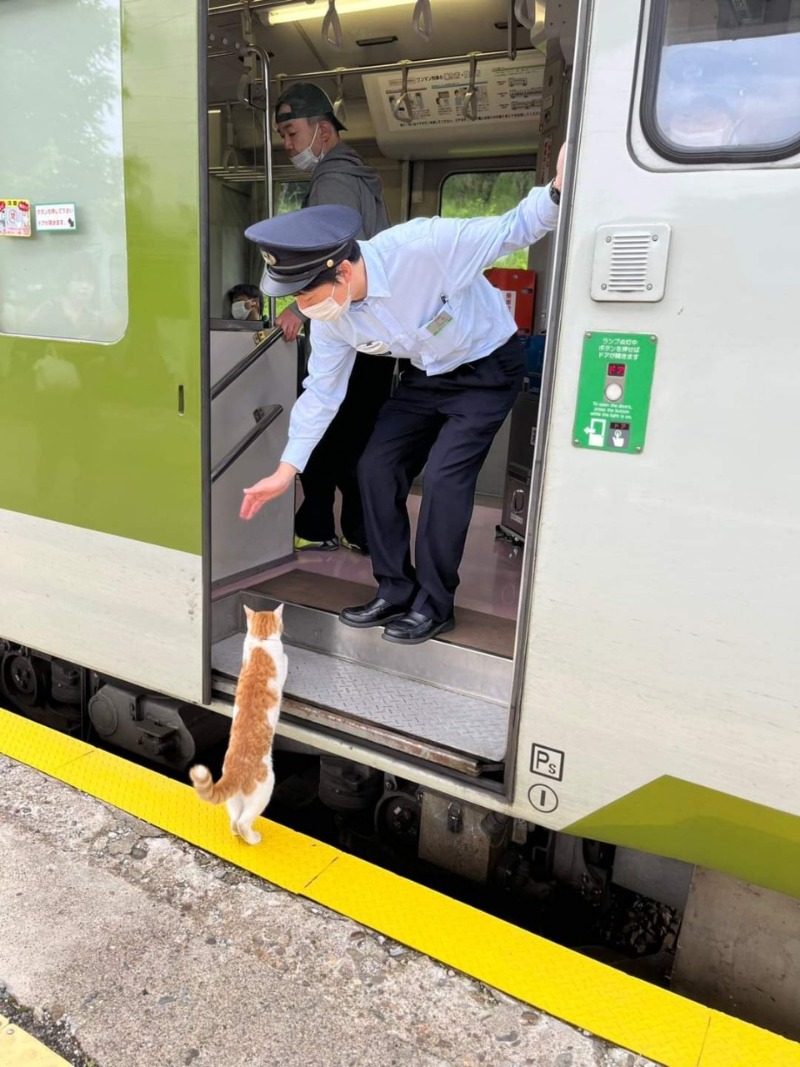 안타깝지만 표가 없으면 탑승이 어렵습니다 손님?