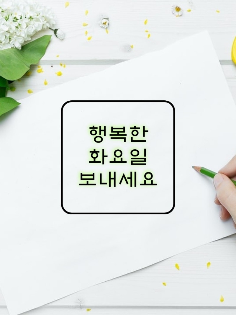 행복한 화요일 장마 조심하세요