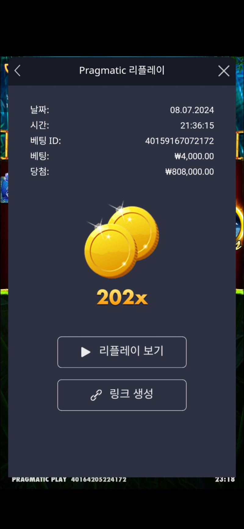 판다원 202배