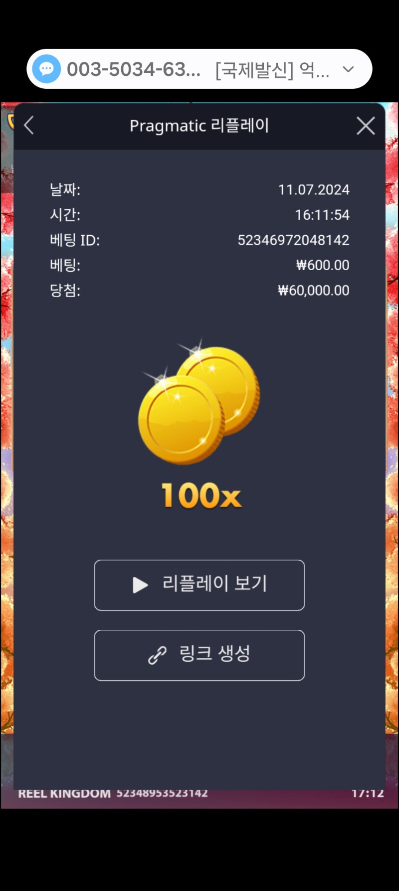 플로팅드레곤100배