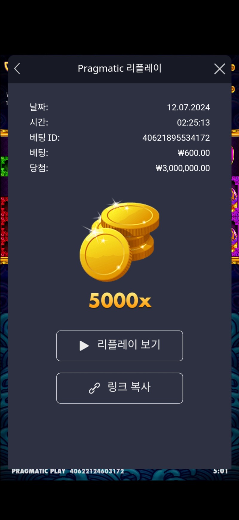 5라메 5000배 맥스