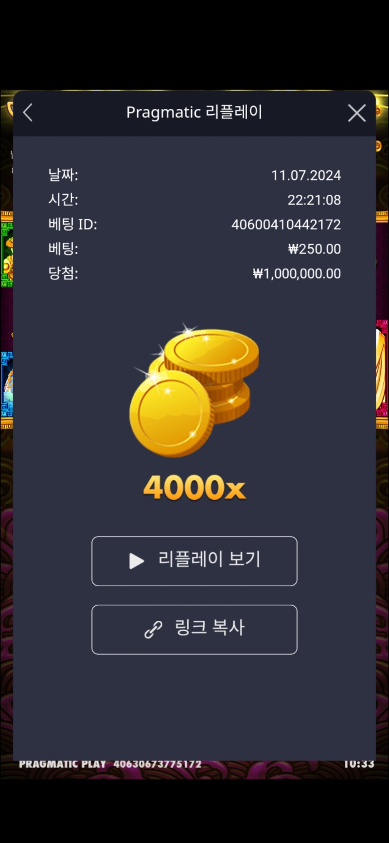 토라메 4000배