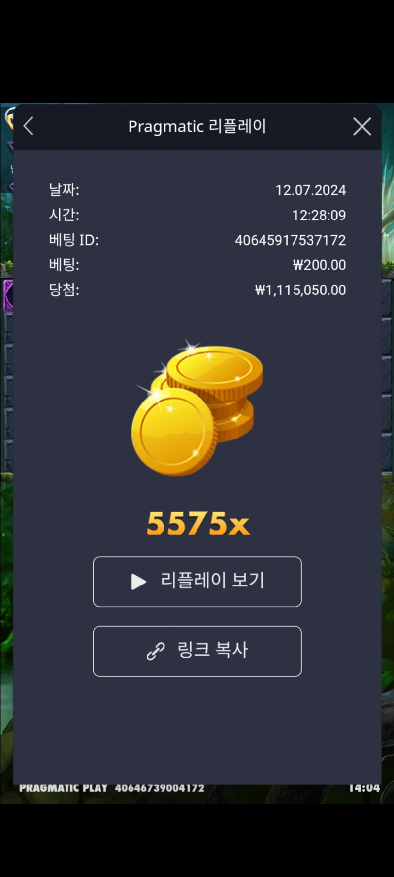 멀린5575배