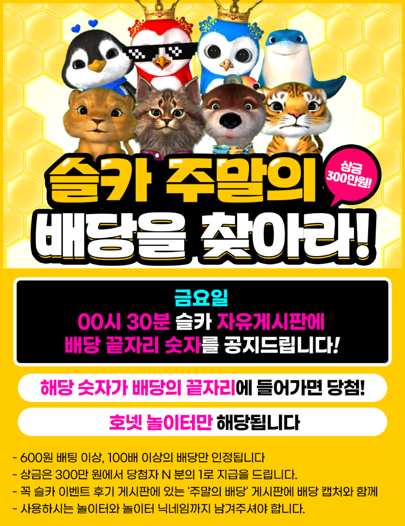 8월 19일 6회차 주말의 배당을 찾아라 !! 당첨자 발표!!