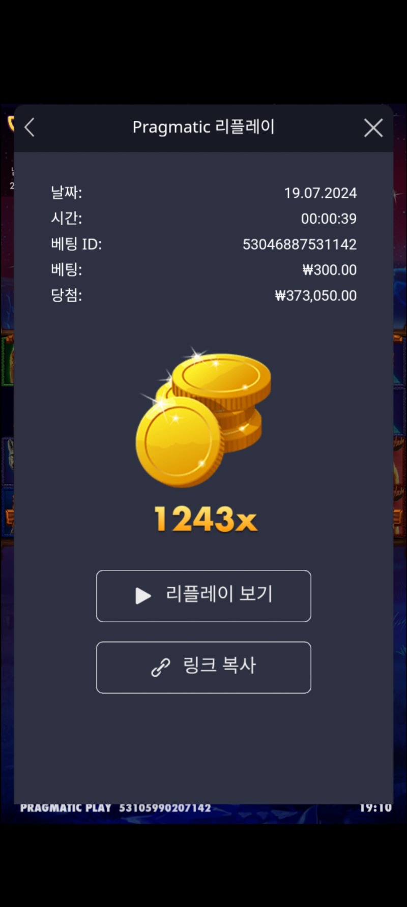 버메가1243배