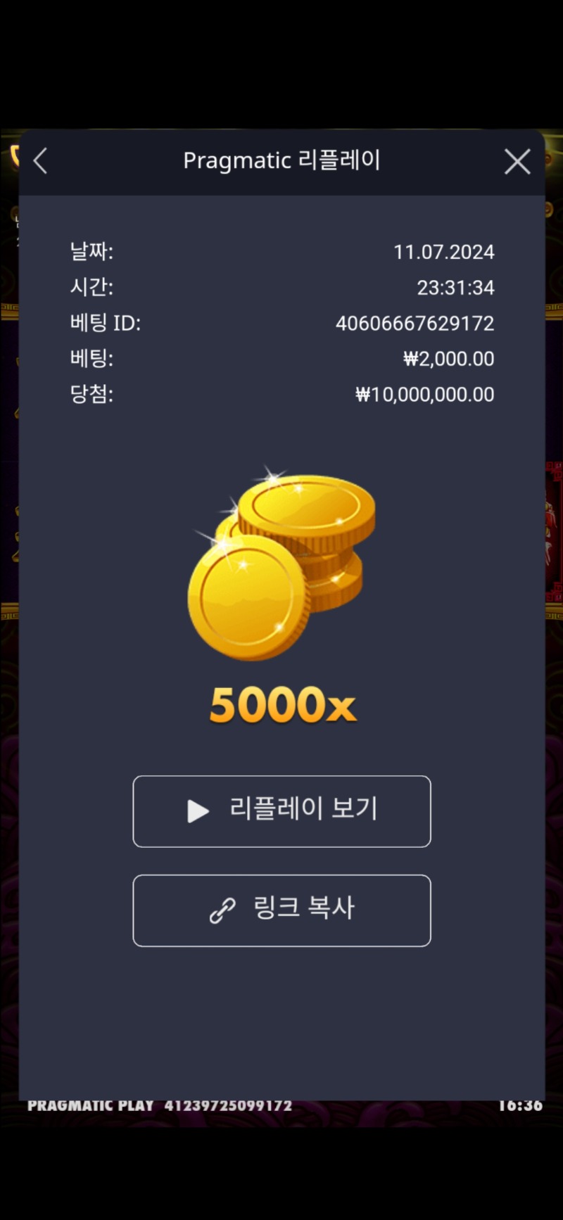 토라메 5000배